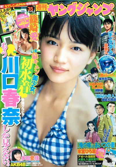 Cover of No. 35, 2011