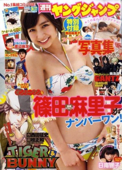 Cover of No. 36-37, 2011
