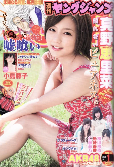 Cover of No. 1, 2013