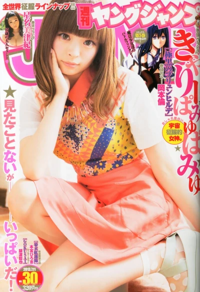 Cover of No. 30, 2013