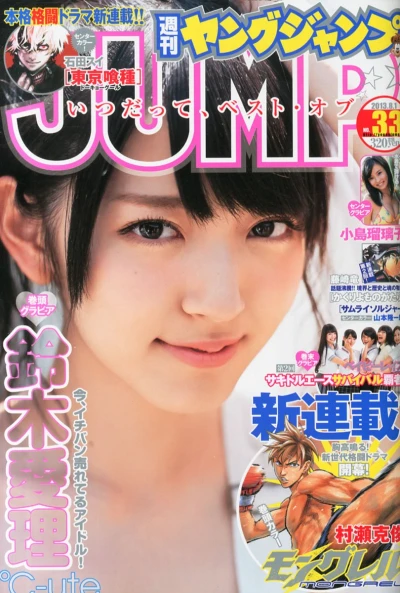 Cover of No. 33, 2013