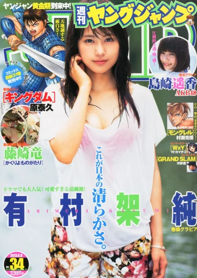 Cover of No. 34, 2013