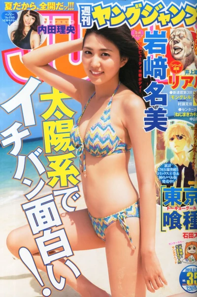 Cover of No. 35, 2013