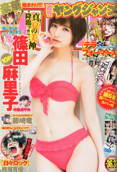 Cover of No. 36-37, 2013