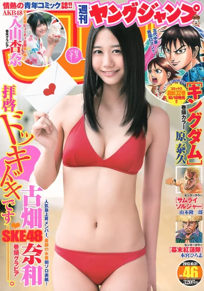 Cover of No. 46, 2013