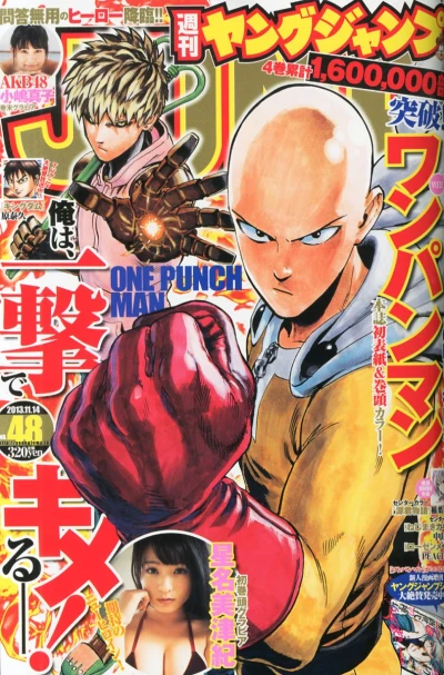 Cover of No. 48, 2013