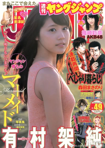 Cover of No. 49, 2013