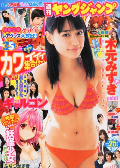 Cover of No. 25, 2014