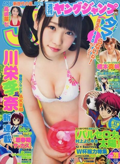 Cover of No. 28, 2014