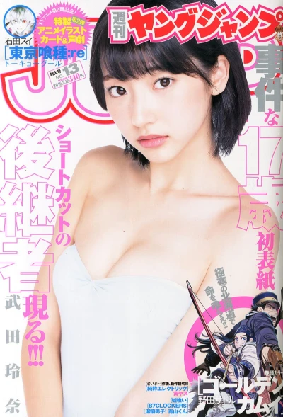 Cover of No. 13, 2015