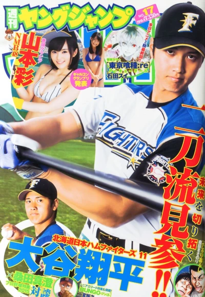 Cover of No. 17, 2015