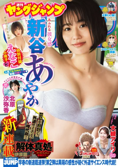 Cover of No. 11, 2025