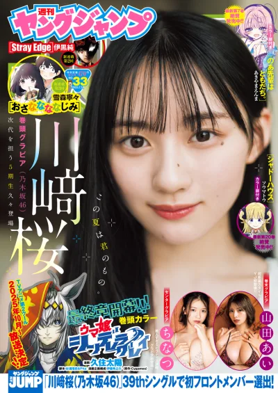 Cover of No. 33, 2025