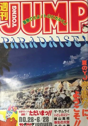 Cover of No. 28, 1984