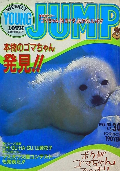 Cover of No. 30, 1989