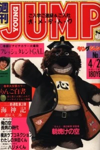 No. 19, 1981