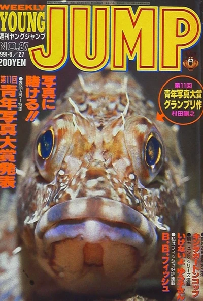 Cover of No. 27, 1991