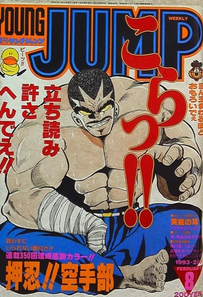 Cover of No. 8, 1993