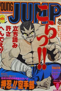 No. 8, 1993