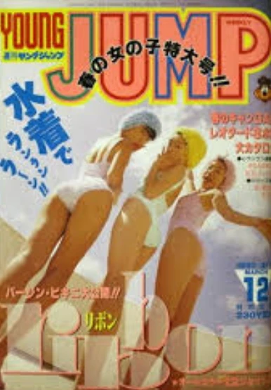 Cover of No. 12, 1993