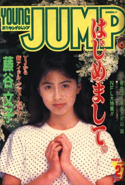 Cover of No. 27, 1993
