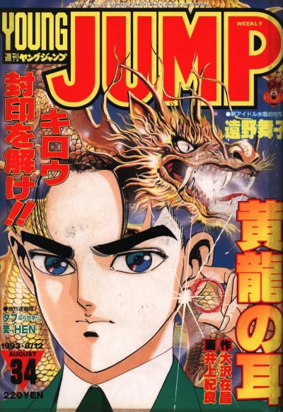 Cover of No. 34, 1993