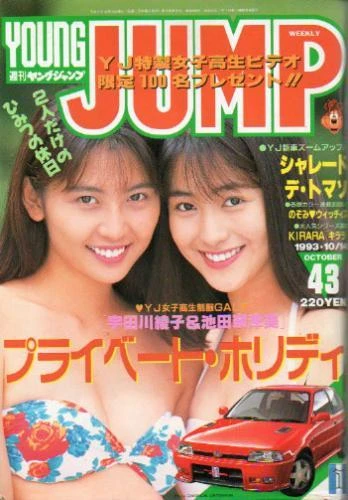 Cover of No. 43, 1993