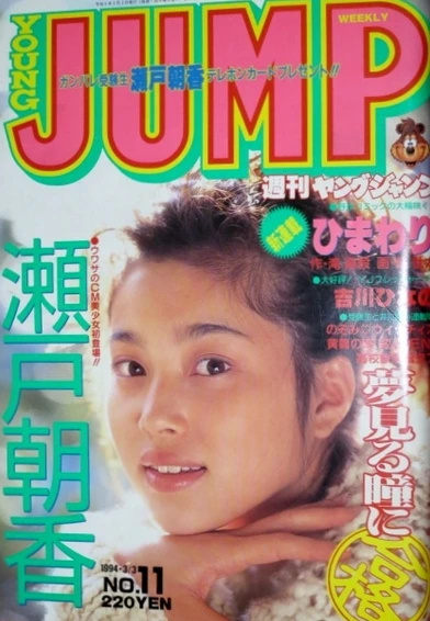 Cover of No. 11, 1994
