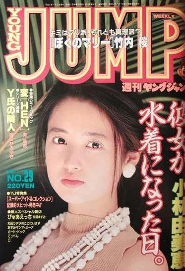 Cover of No. 29, 1994