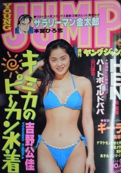 Cover of No. 29, 1995