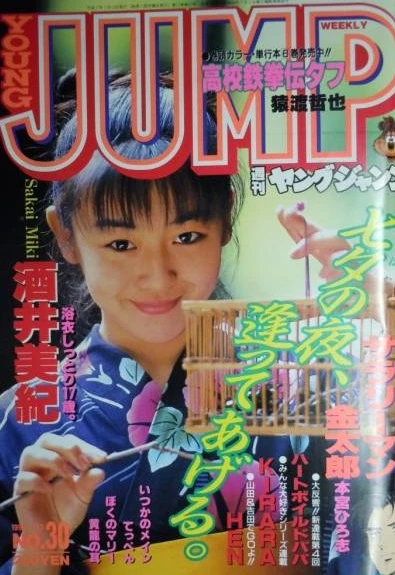 Cover of No. 30, 1995