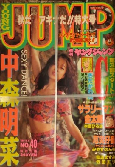 Cover of No. 40, 1995