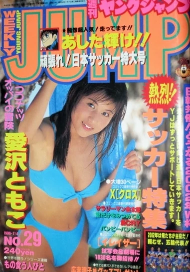 Cover of No. 29, 1996