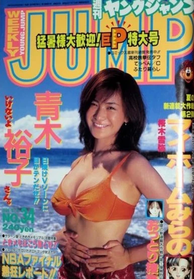 Cover of No. 34, 1996