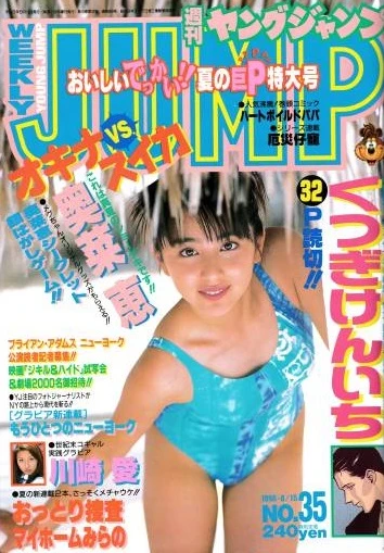 Cover of No. 35, 1996