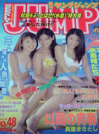 Cover of No. 48, 1996