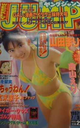 Cover of No. 29, 1997