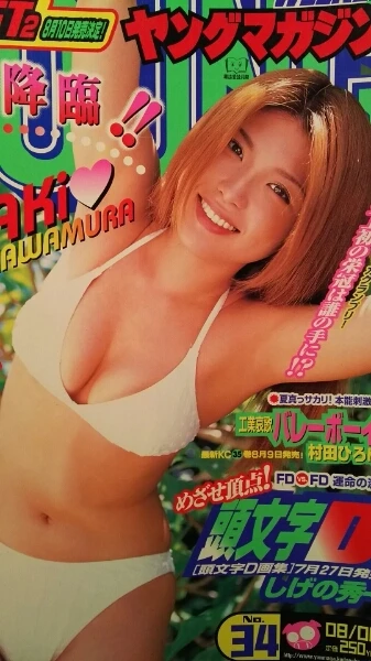 Cover of No. 34, 2001