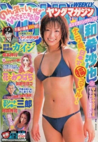 Cover of No. 12, 2003