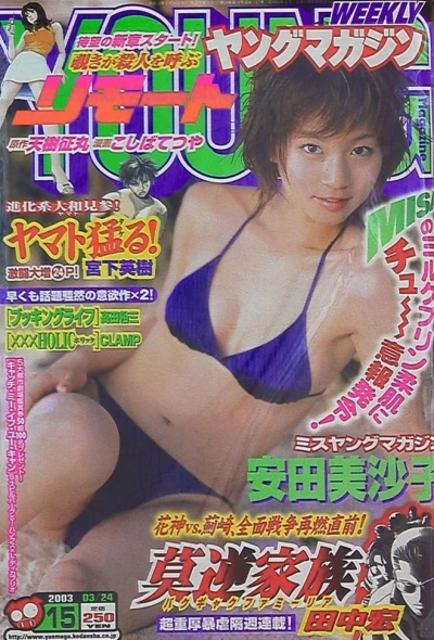 Cover of No. 15, 2003