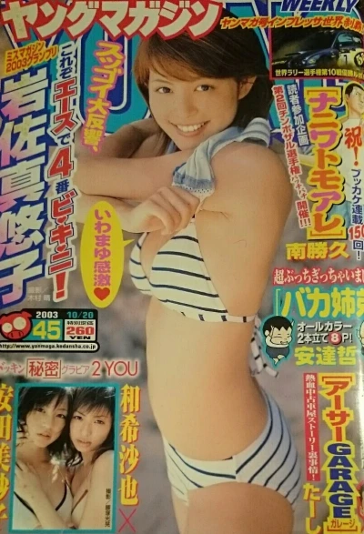 Cover of No. 45, 2003