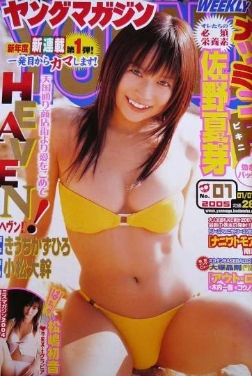 Cover of No. 1, 2005