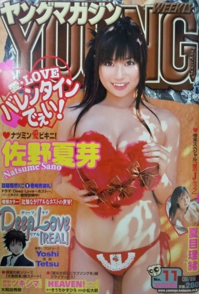 Cover of No. 11, 2005