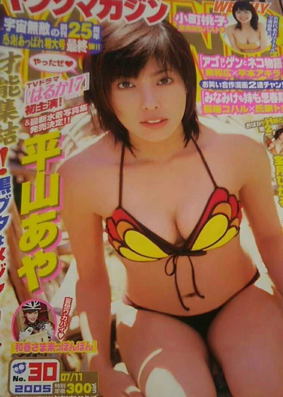 Cover of No. 30, 2005