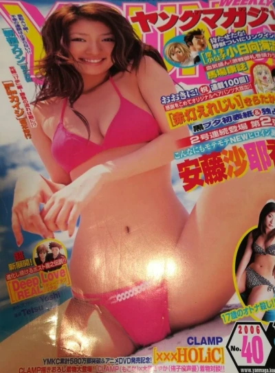 Cover of No. 40, 2006