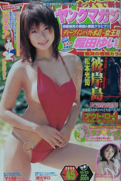 Cover of No. 45, 2006
