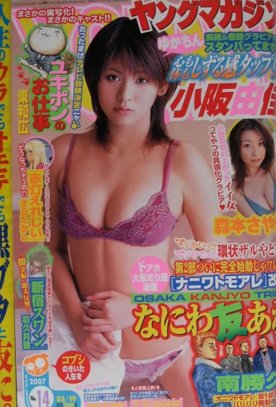 Cover of No. 14, 2007