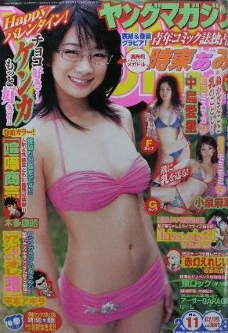 Cover of No. 11, 2008