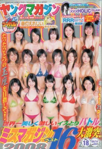 Cover of No. 18, 2008