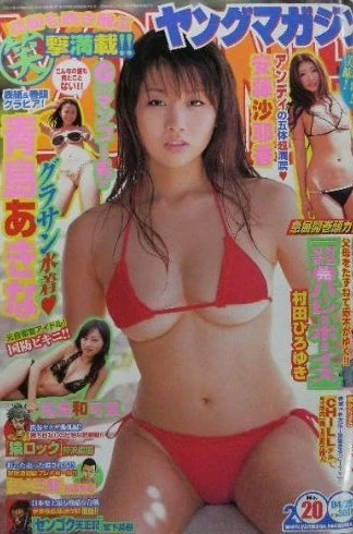 Cover of No. 20, 2008